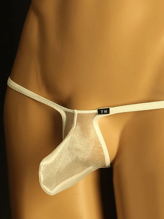 Men's Sheer Mesh Thong: Transparent Elephant Trunk Design - DZK006