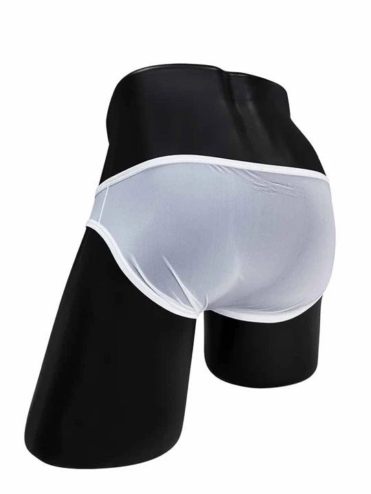 Men's Ultra-thin Transparent Sexy Briefs - SJK060
