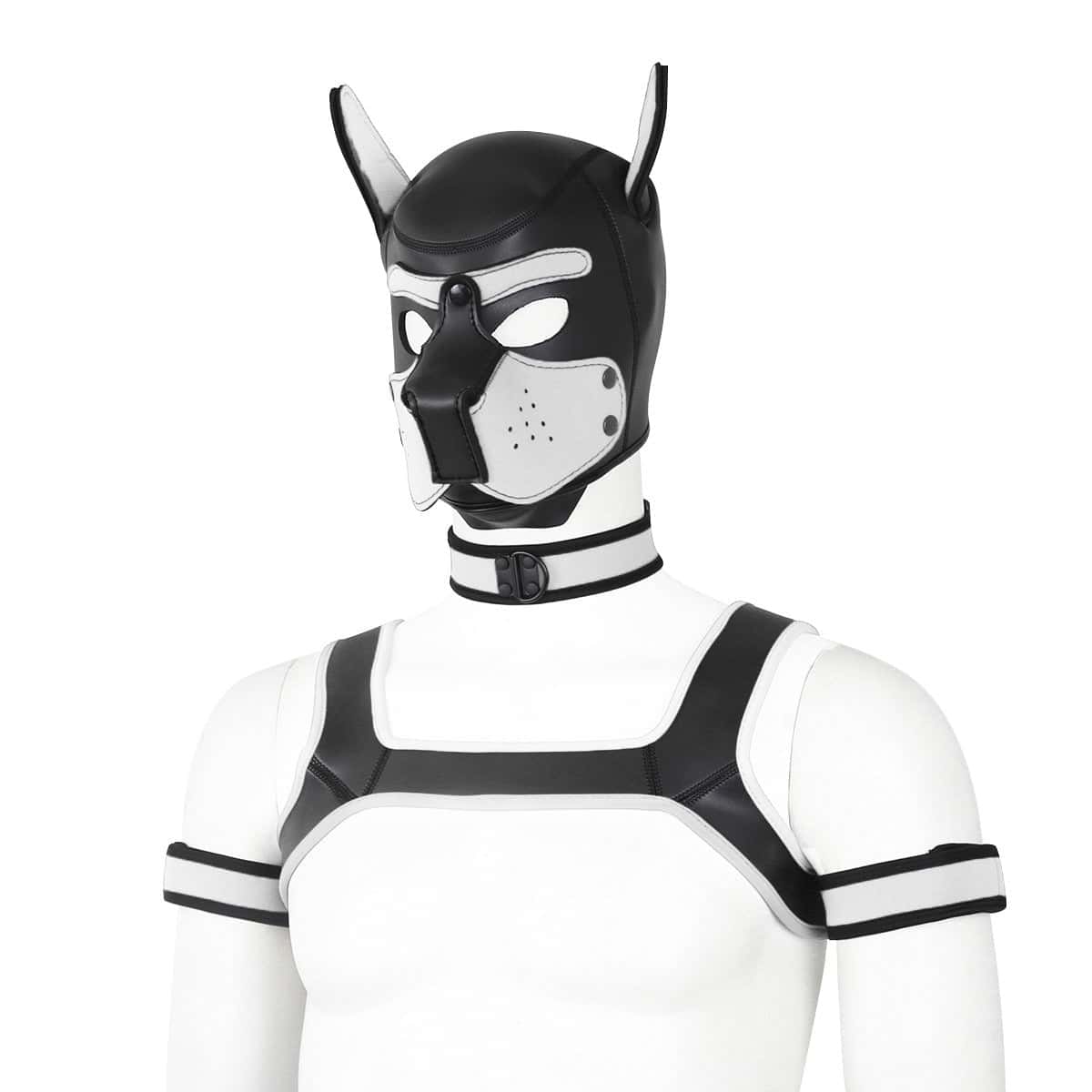 Neoprene Gay Pup Gear Starter Kit - KB059