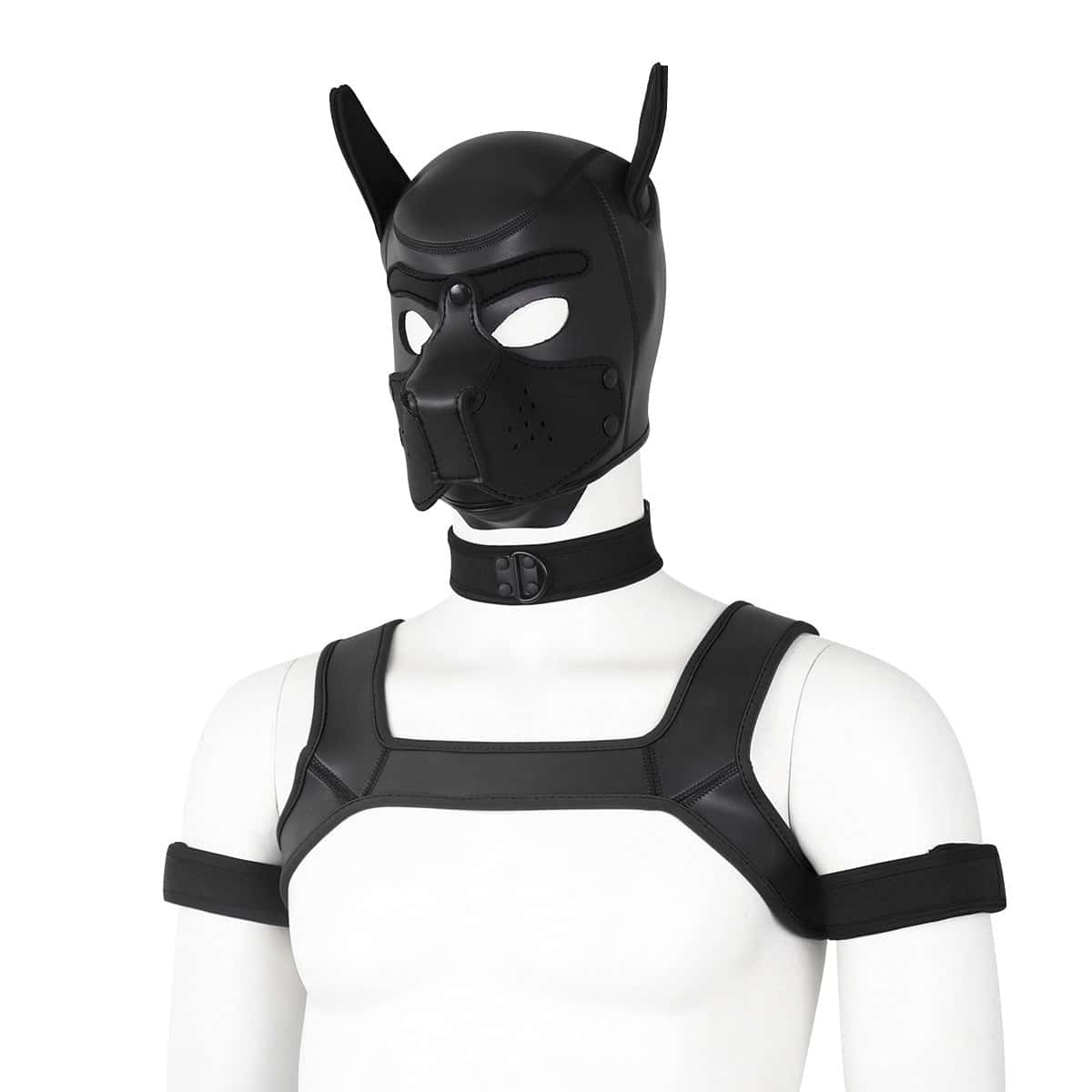 Neoprene Gay Pup Gear Starter Kit - KB059 - YDressup