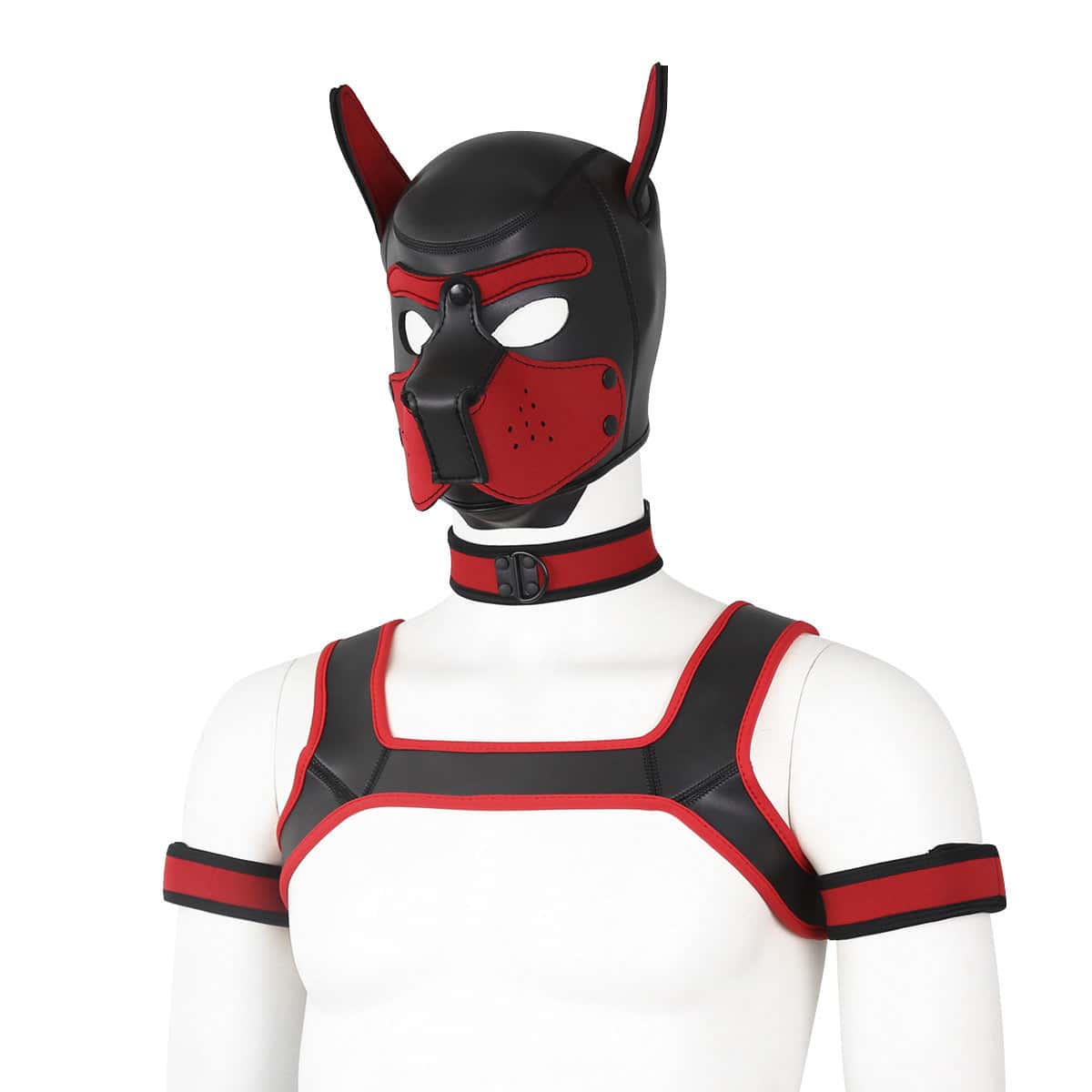 Neoprene Gay Pup Gear Starter Kit - KB059 - YDressup
