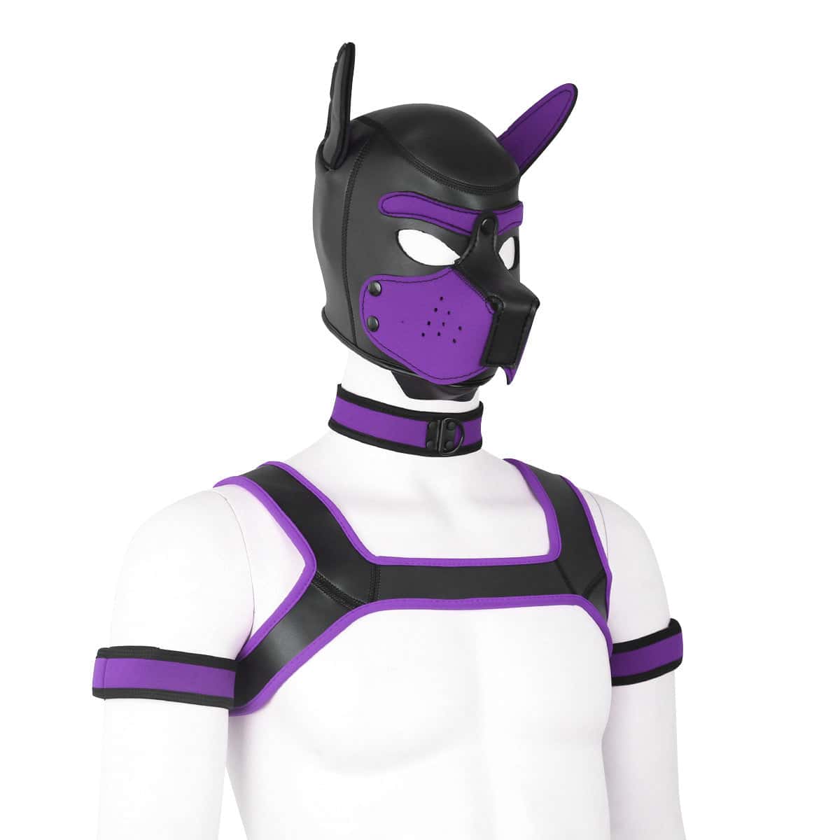 Neoprene Gay Pup Gear Starter Kit - KB059