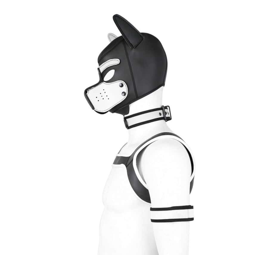 Neoprene Gay Pup Gear Starter Kit - KB059 - YDressup