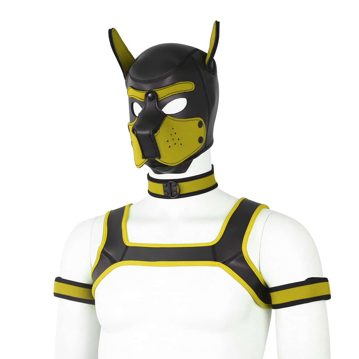 Neoprene Gay Pup Gear Starter Kit - KB059 - YDressup