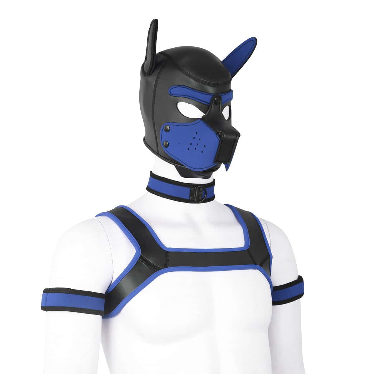 Neoprene Gay Pup Gear Starter Kit - KB059 - YDressup