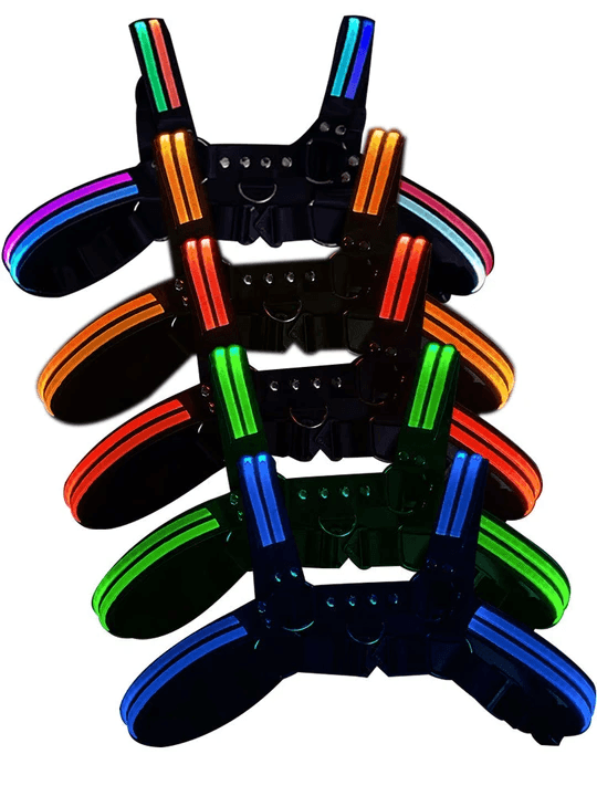 D.M Radiant Harness Sexy Shoulder Strap - KB004