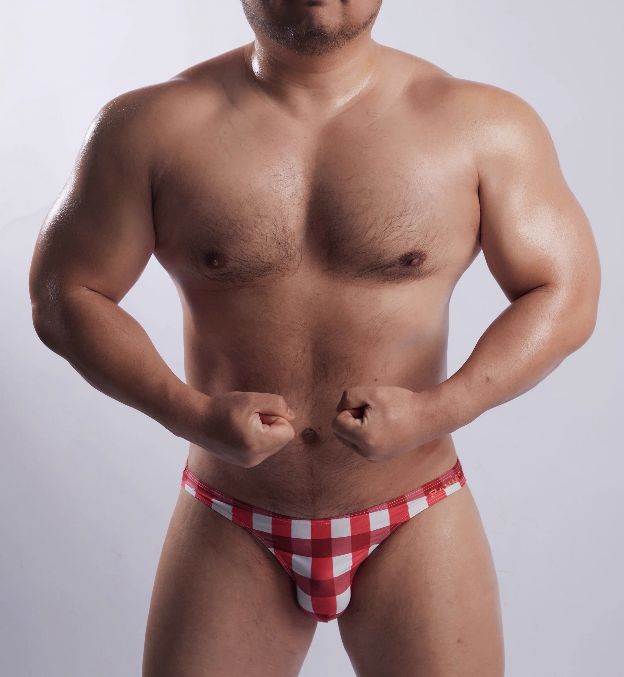 Men's Plaid Bikini Briefs - SJK058 - YDressup
