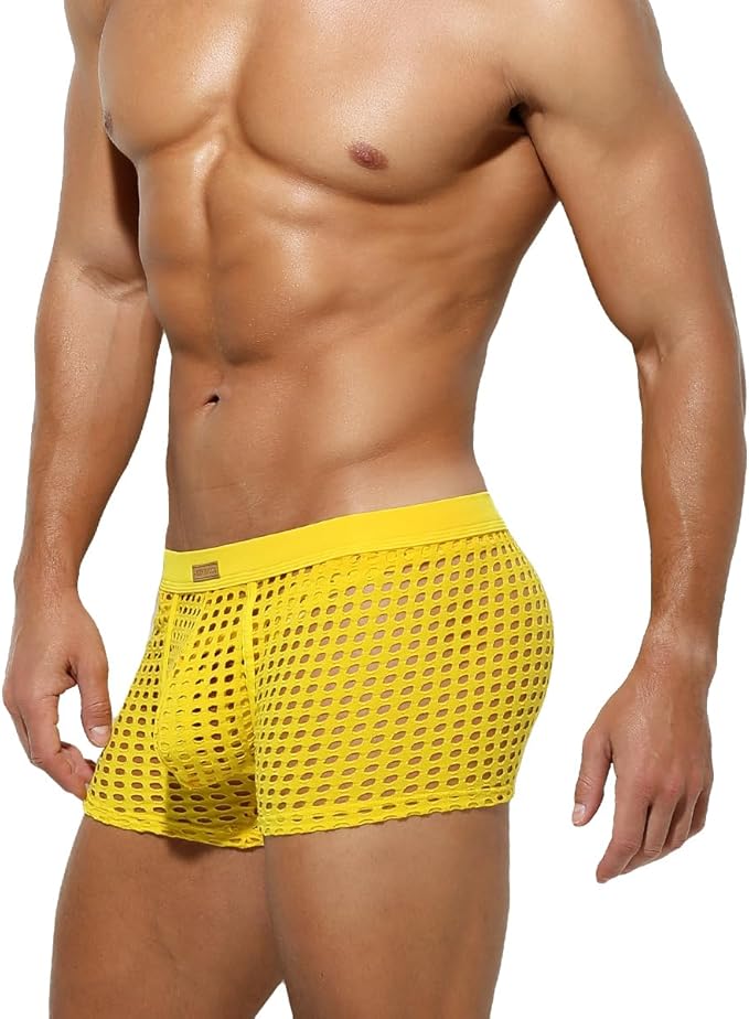 Sexy Underwear Mesh Breathable Boxer Briefs Soft Stretch Trunks - PJK025