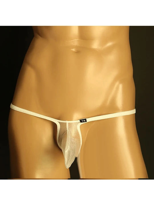 Men's Sheer Mesh Thong: Transparent Elephant Trunk Design - DZK006
