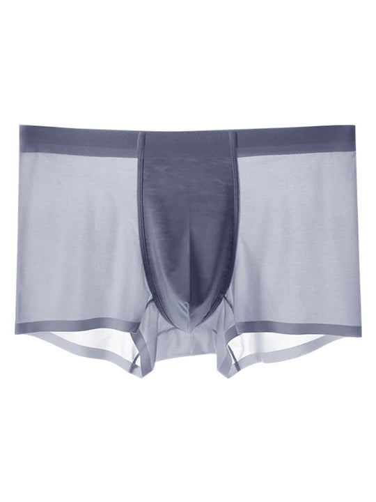Men's Ice Silk Quick Dry Nylon Trunks - PJK022