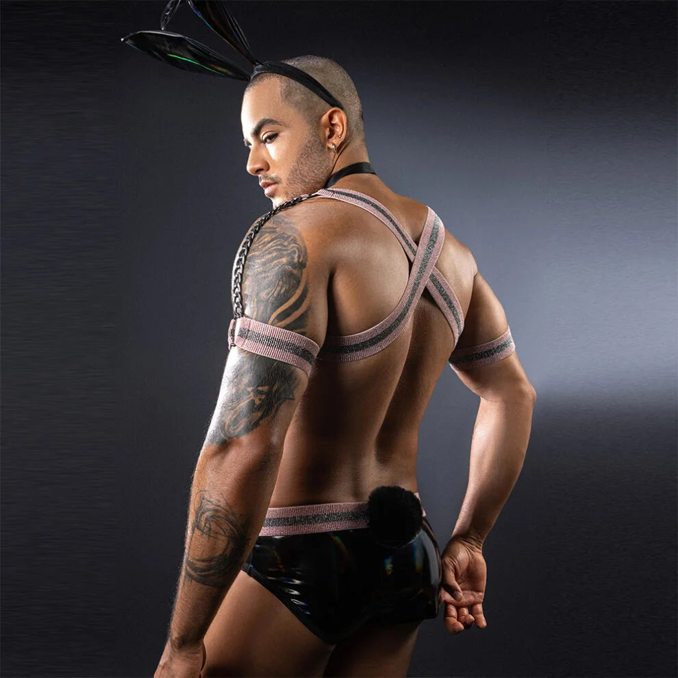 Men’s Butler/Bunny Harness and Wet Look Costume - ZF038 - YDressup