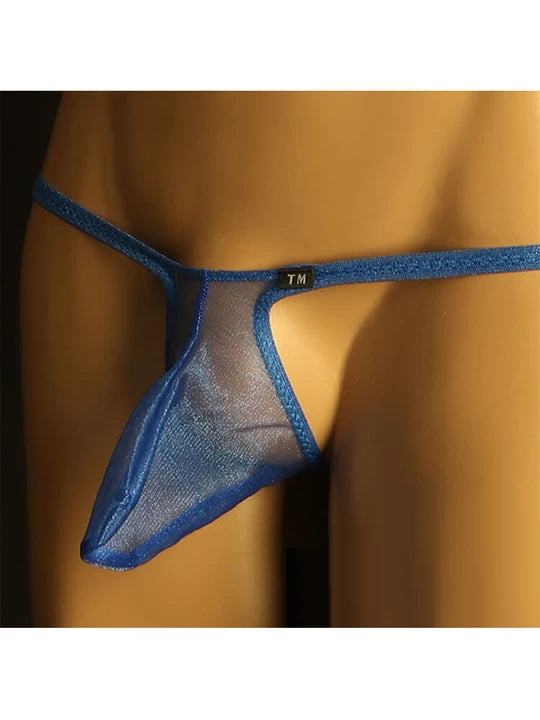 Men's Sheer Mesh Thong: Transparent Elephant Trunk Design - DZK006