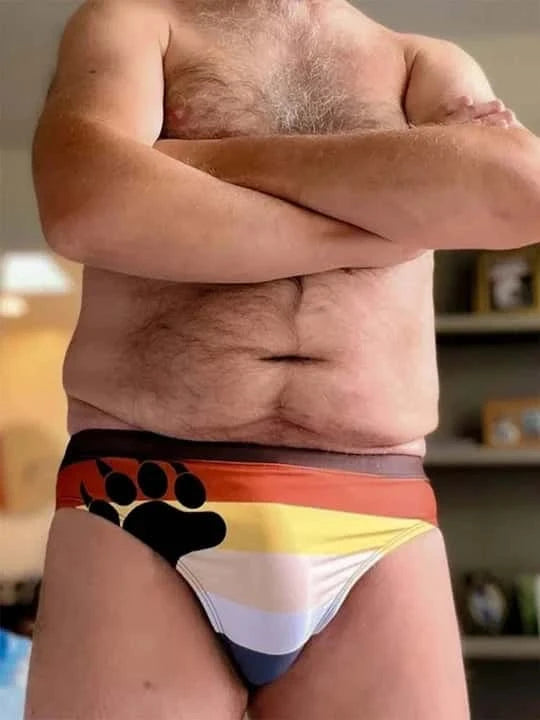 Men's LGBT Gay Bear Claw Pride Flag Briefs - YK037 - YDressup