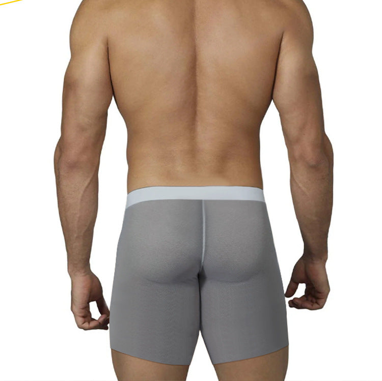 Sexy Men's Silky Transparent Boxer Shorts - PJK009