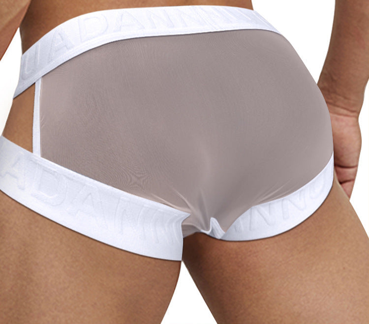 sexy transparent triangle briefs - SJK043