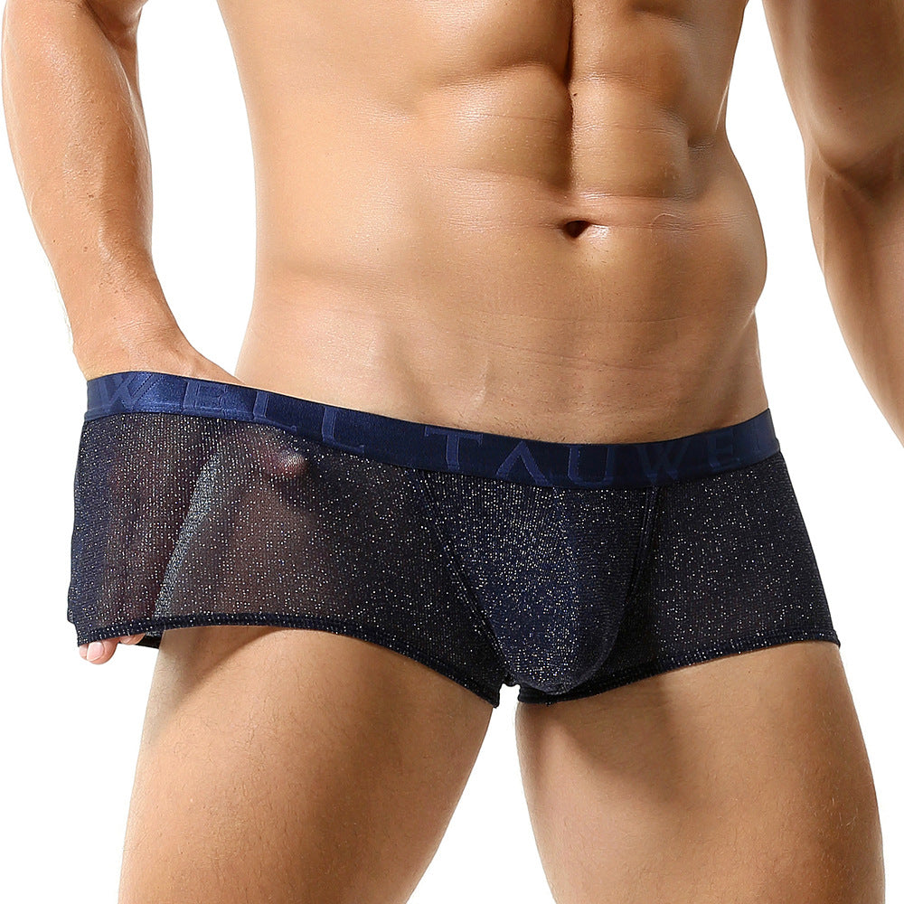 Mesh Breathable Sexy Low Waist Underpants Boxer for Man - PJK033