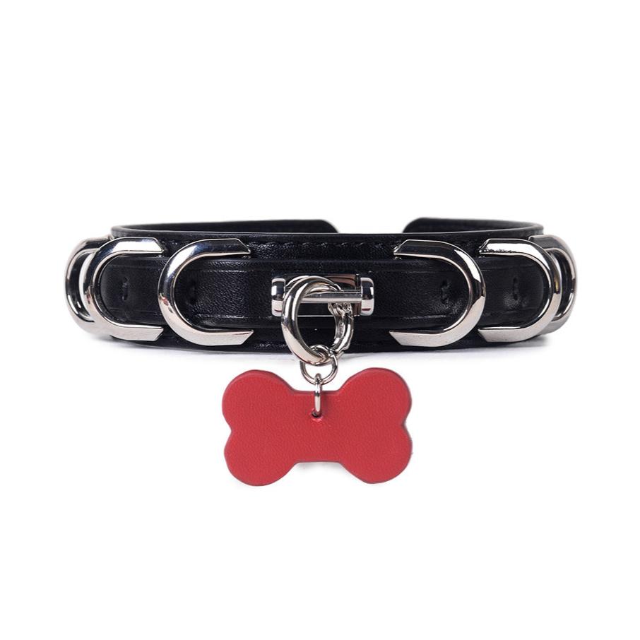 Premium Leather BDSM Collar with Leash - PJ009
