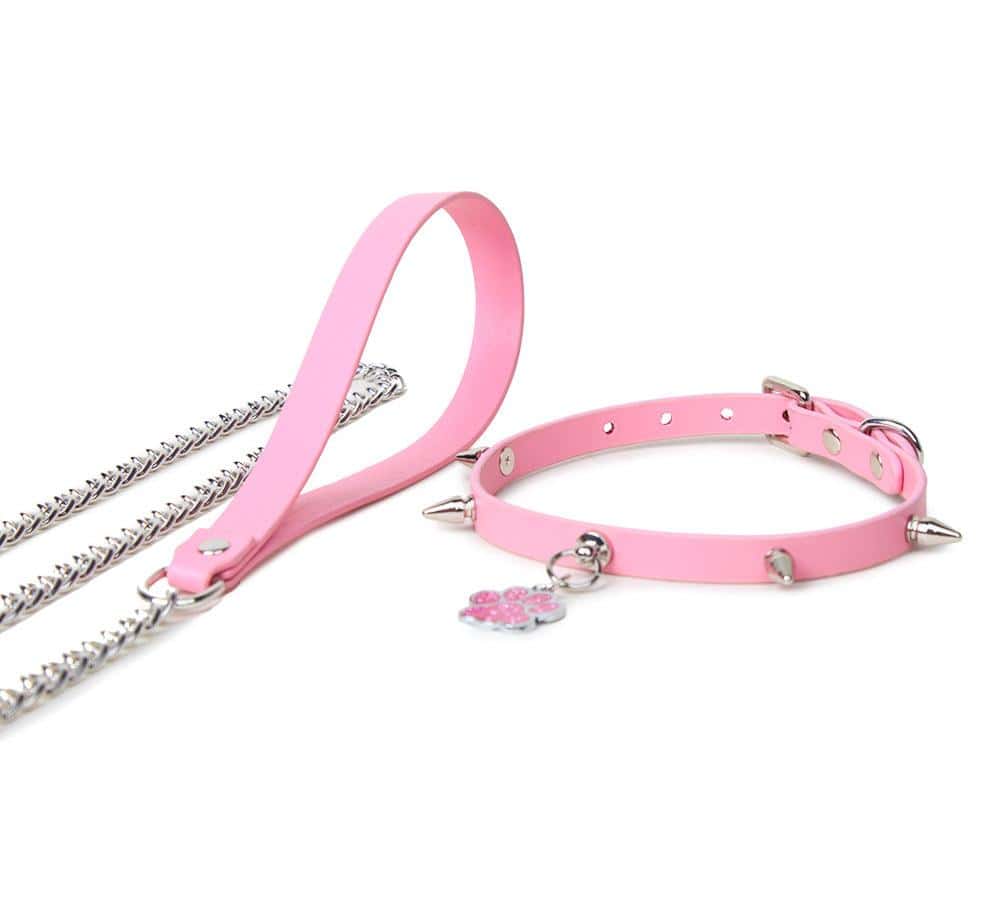 Punk Style Leather BDSM Collar with Studded Dog Paw Tag & Leash - PJ011