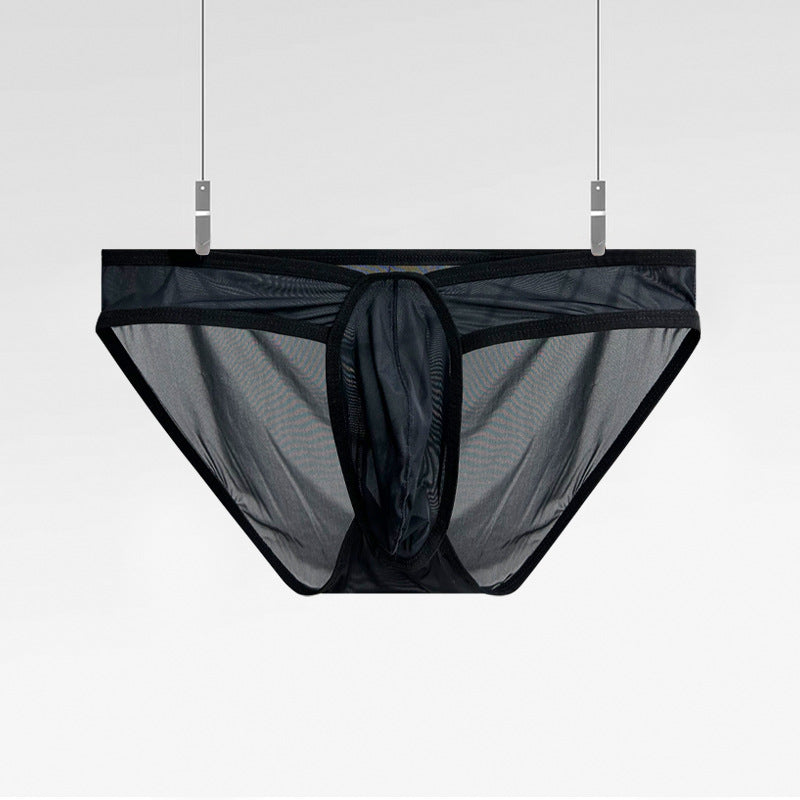 Men's Ultra-thin Transparent Sexy Briefs - SJK060
