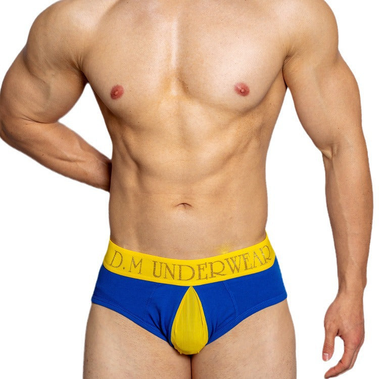 D.M Sheer Mesh Open Briefs - SJK029 - YDressup