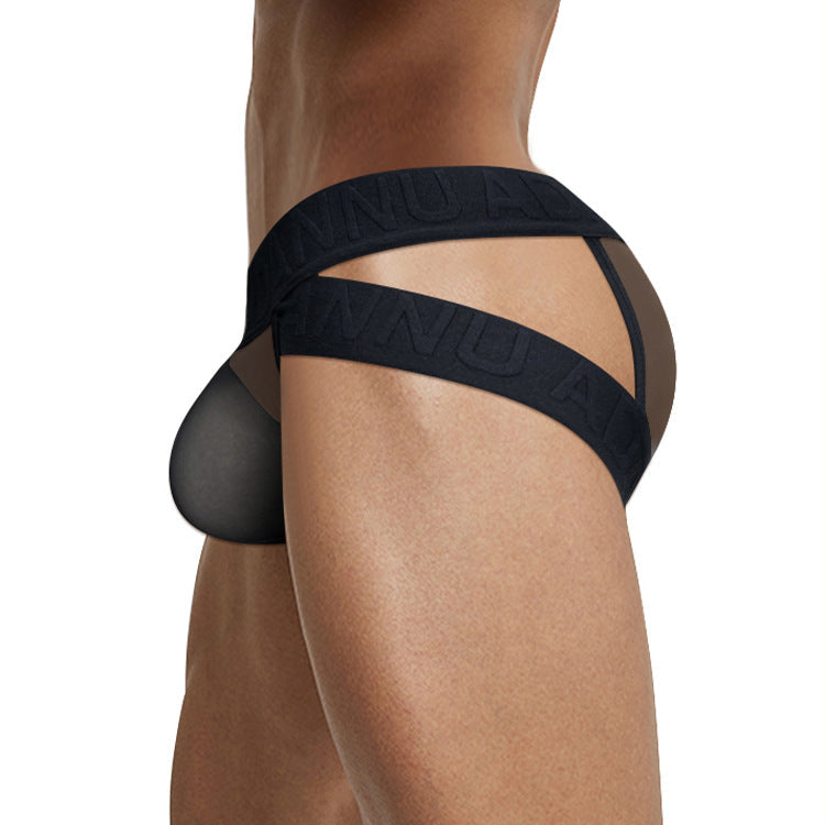sexy transparent triangle briefs - SJK043