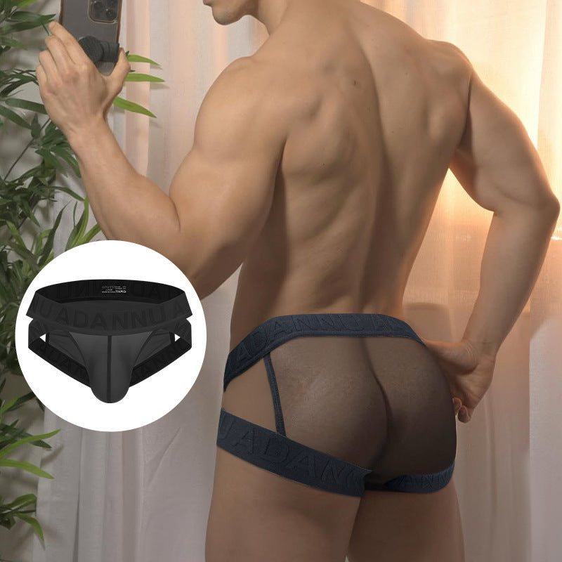 sexy transparent triangle briefs - SJK043