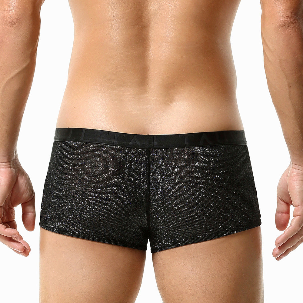 Mesh Breathable Sexy Low Waist Underpants Boxer for Man - PJK033