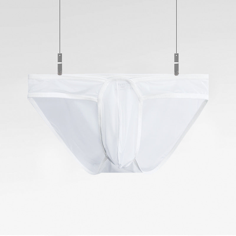 Men's Ultra-thin Transparent Sexy Briefs - SJK060