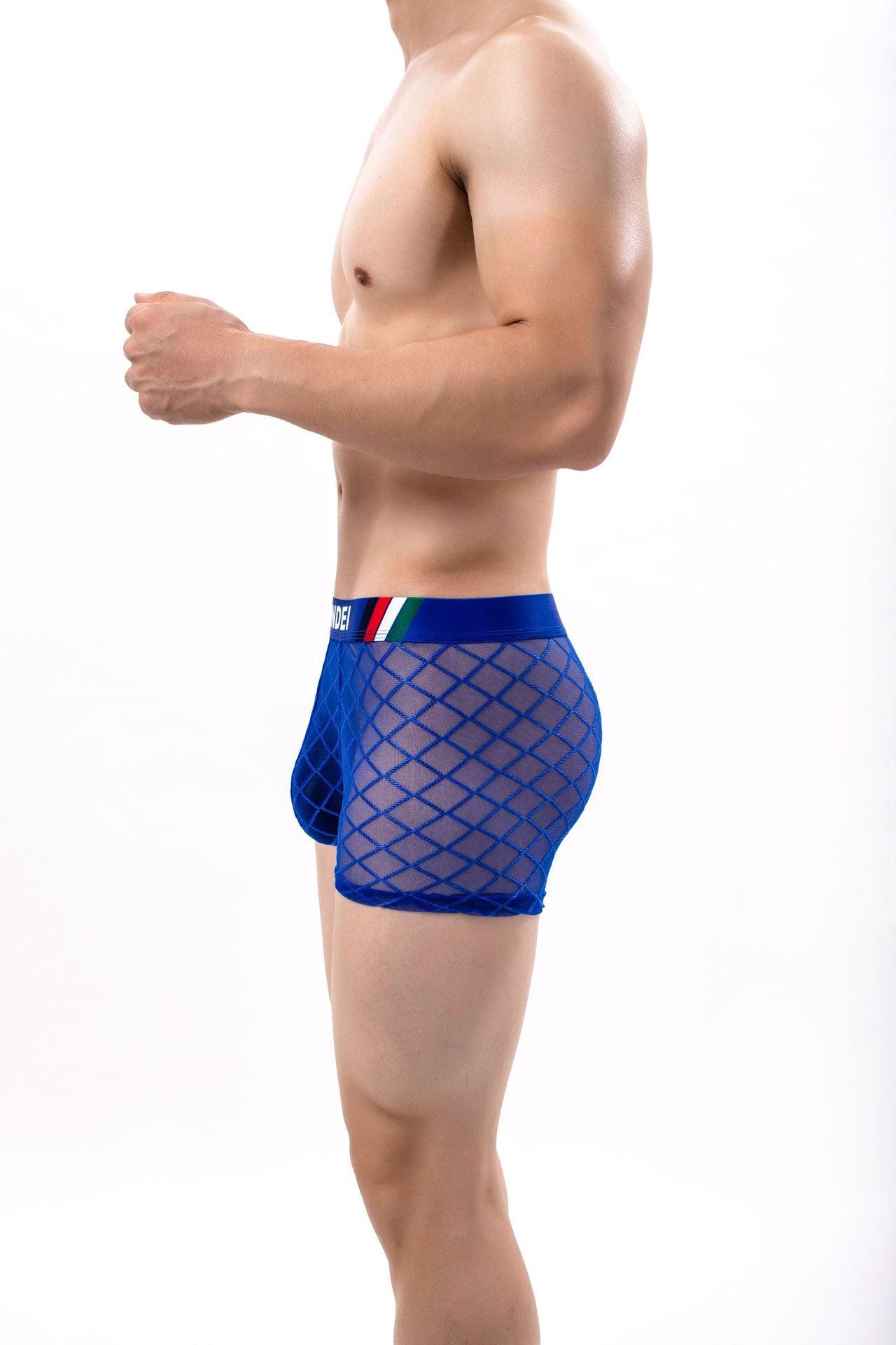 Men's Sexy Mesh Sheer Trunks - PJK032 - YDressup