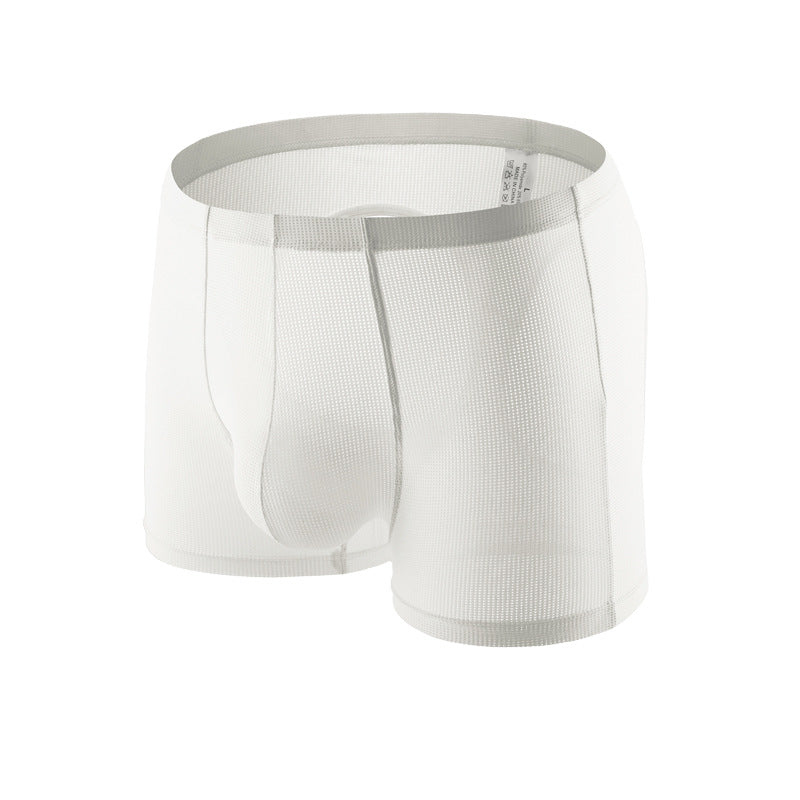 Men's Sexy Mesh Hip Hollow Boxer Briefs - PJK043
