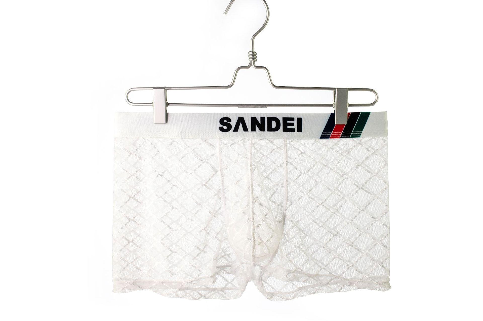 Men's Sexy Mesh Sheer Trunks - PJK032