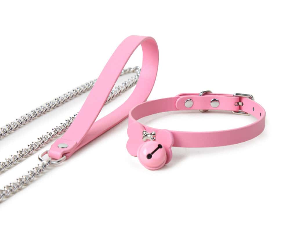 Puppy Training Collar & Leash Set - PJ046