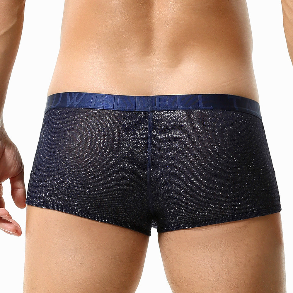 Mesh Breathable Sexy Low Waist Underpants Boxer for Man - PJK033