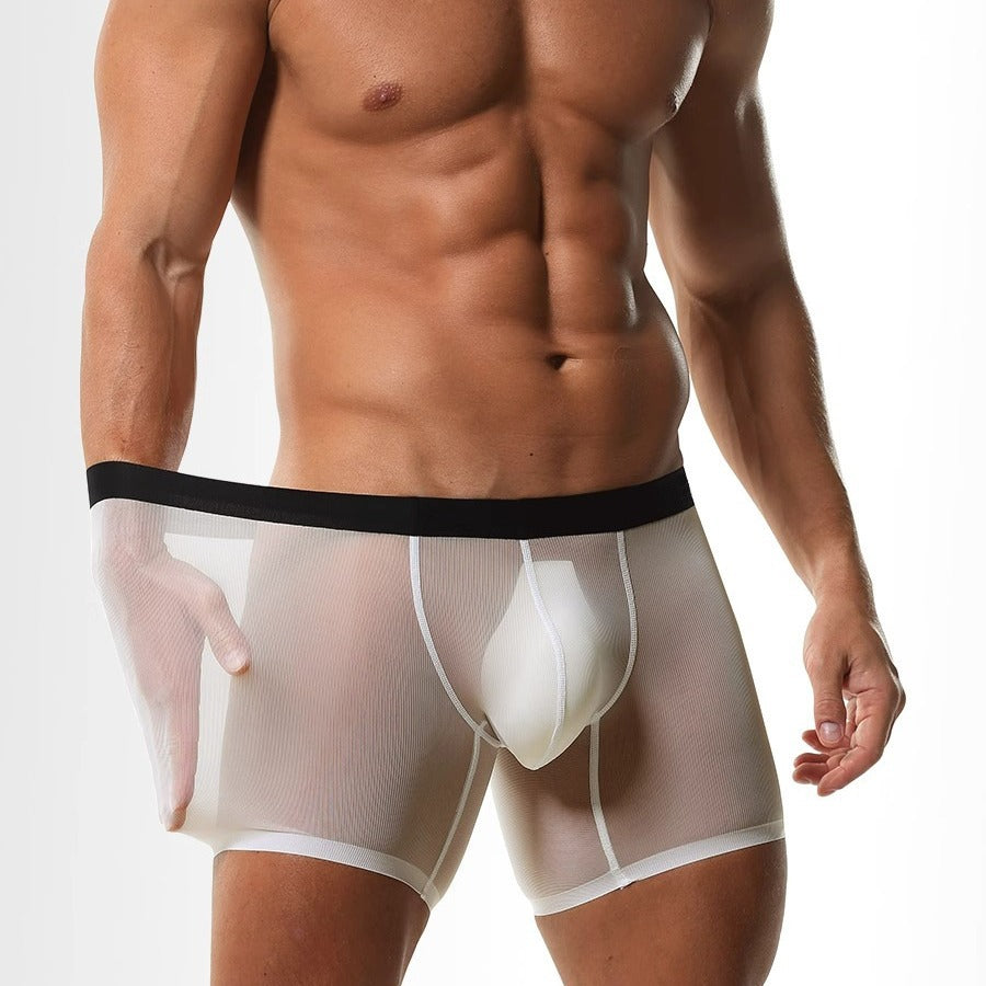 Men's Mesh Splicing Ultra-thin Boxer Briefs - PJK005