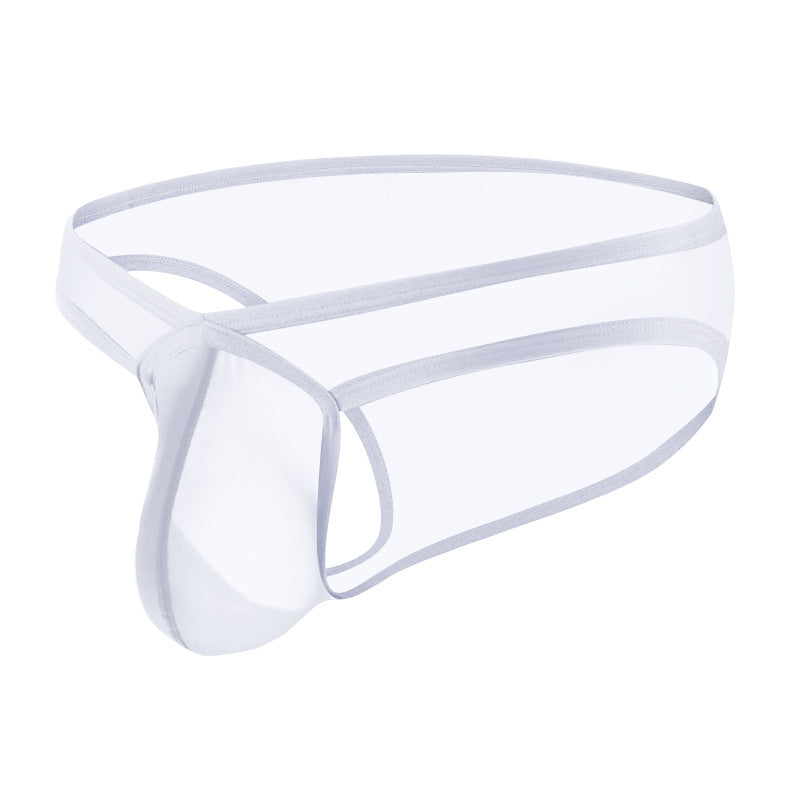 Men's Ultra-thin Transparent Sexy Briefs - SJK060