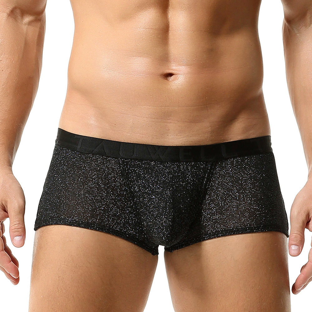 Mesh Breathable Sexy Low Waist Underpants Boxer for Man - PJK033