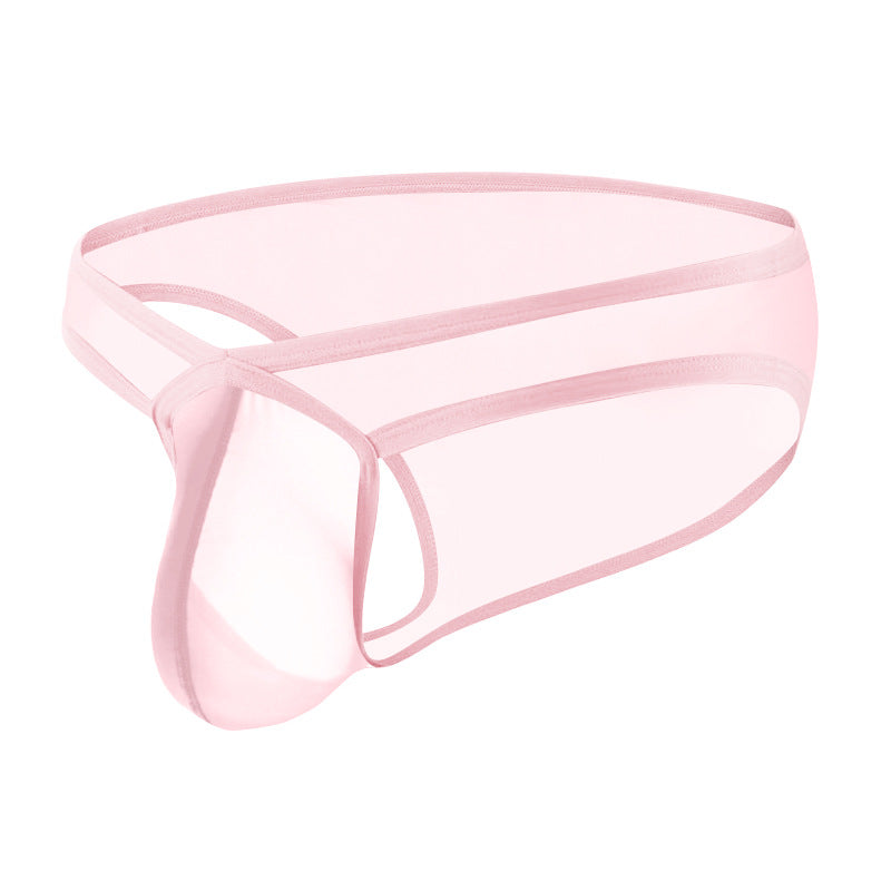 Men's Ultra-thin Transparent Sexy Briefs - SJK060