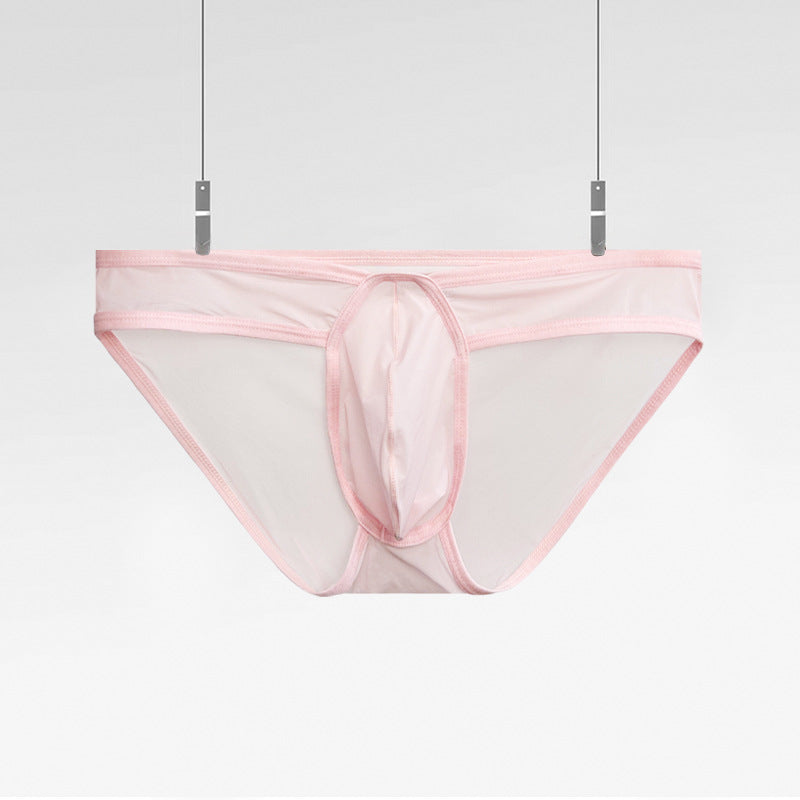 Men's Ultra-thin Transparent Sexy Briefs - SJK060