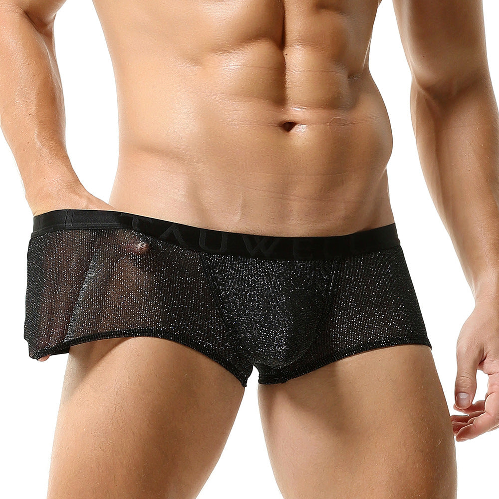 Mesh Breathable Sexy Low Waist Underpants Boxer for Man - PJK033