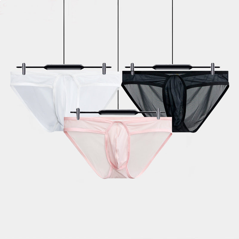 Men's Ultra-thin Transparent Sexy Briefs - SJK060