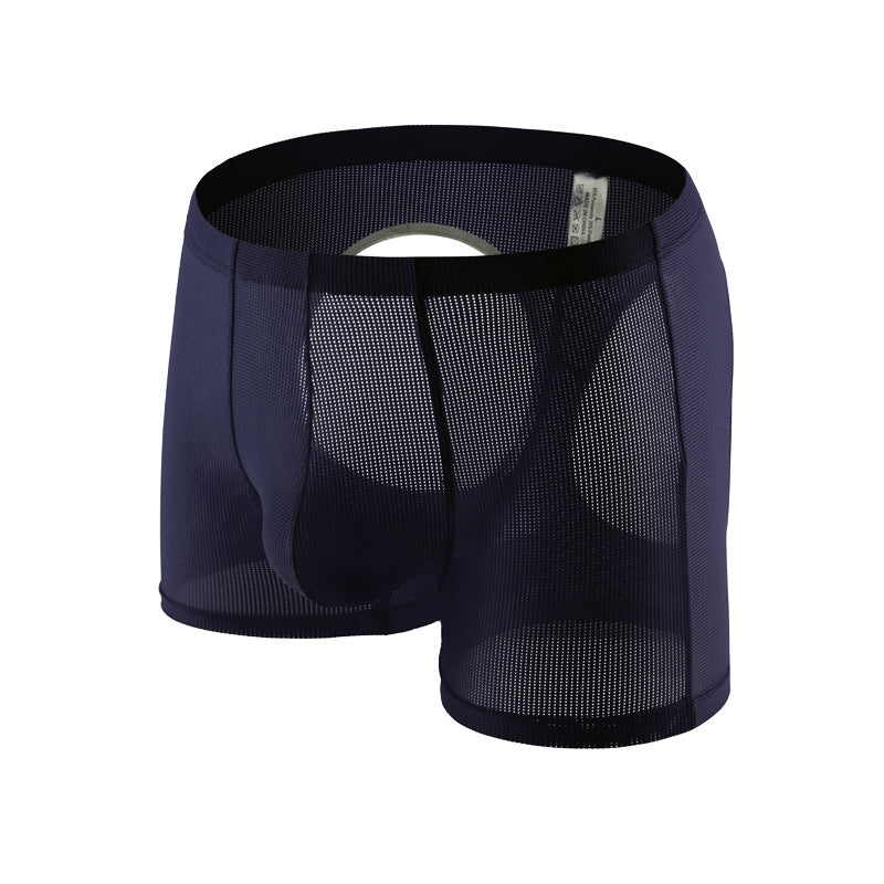 Men's Sexy Mesh Hip Hollow Boxer Briefs - PJK043
