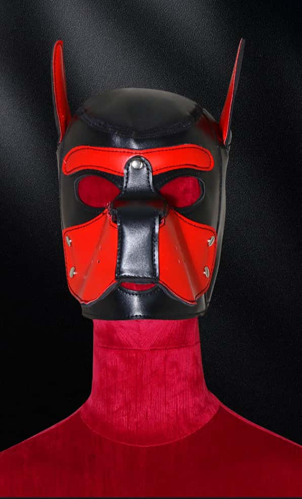 Sensual Dog Head Mask with Detachable Wearable Hood - KB061 - YDressup