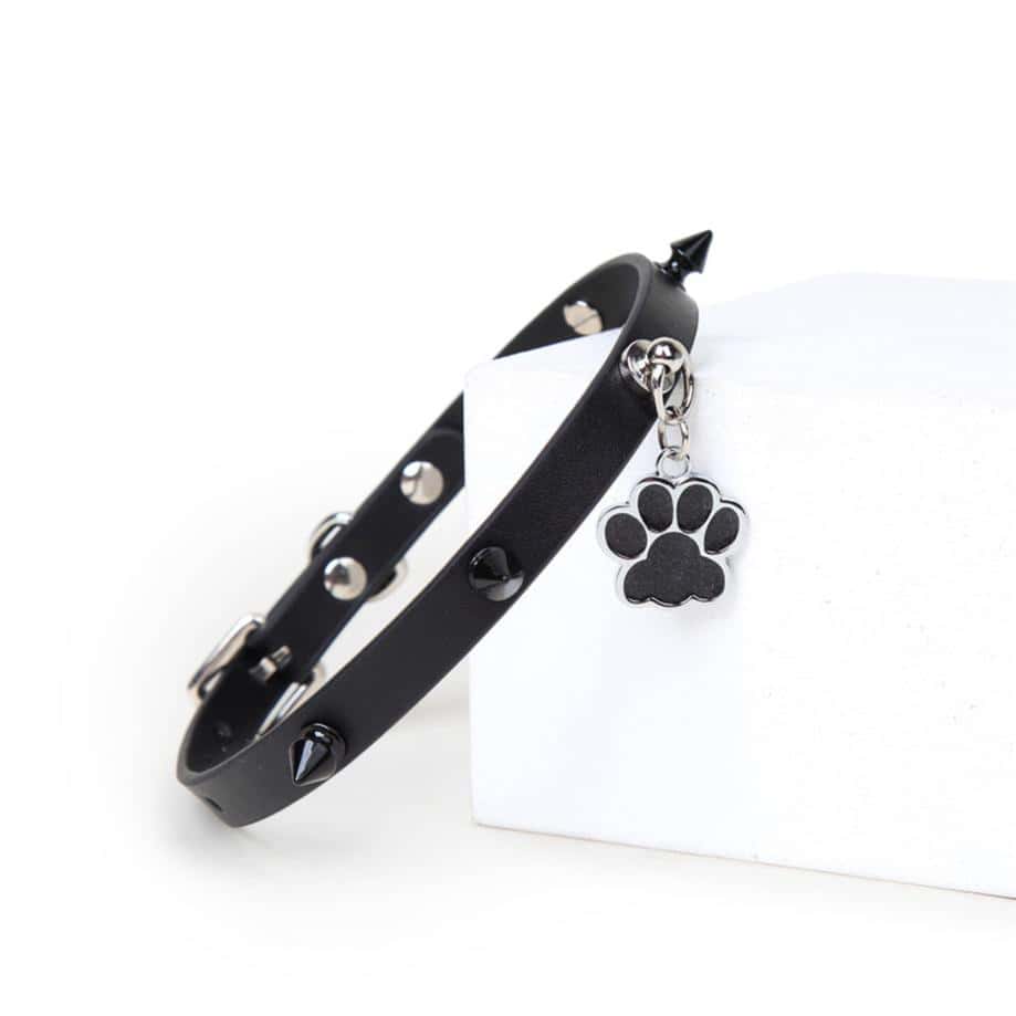 Punk Style Leather BDSM Collar with Studded Dog Paw Tag & Leash - PJ011