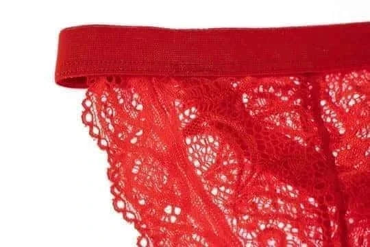 Men's Lace Garter Underwear - DZK039