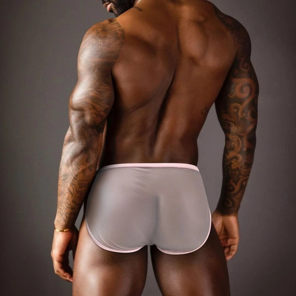Men's Ultra-thin Transparent Sexy Briefs - SJK060